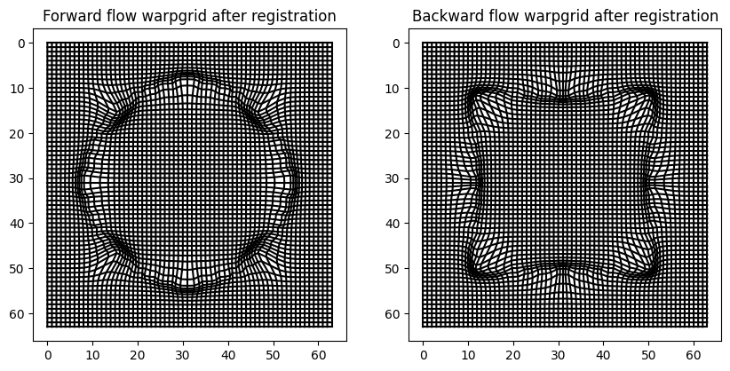 ../_images/notebooks_05_explore_diffeomorphisms_of_space_15_0.png