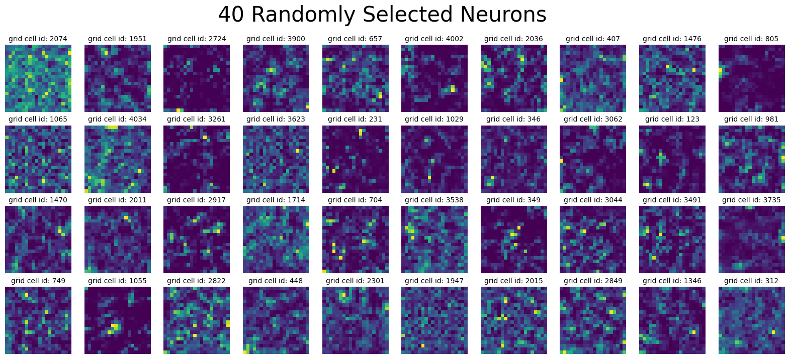 ../_images/notebooks_07_application_rnns_grid_cells_20_1.png