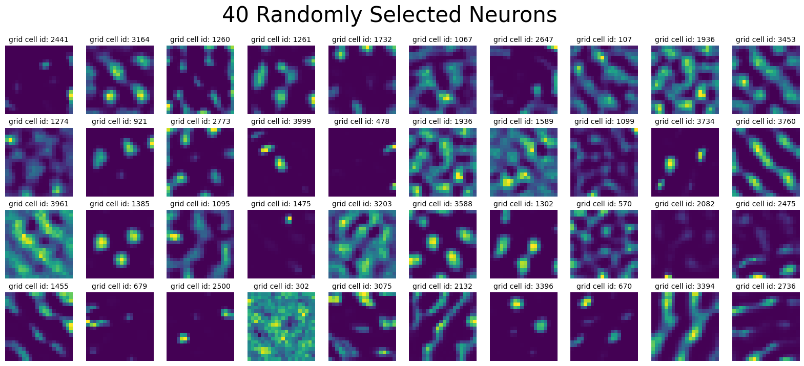 ../_images/notebooks_07_application_rnns_grid_cells_22_0.png