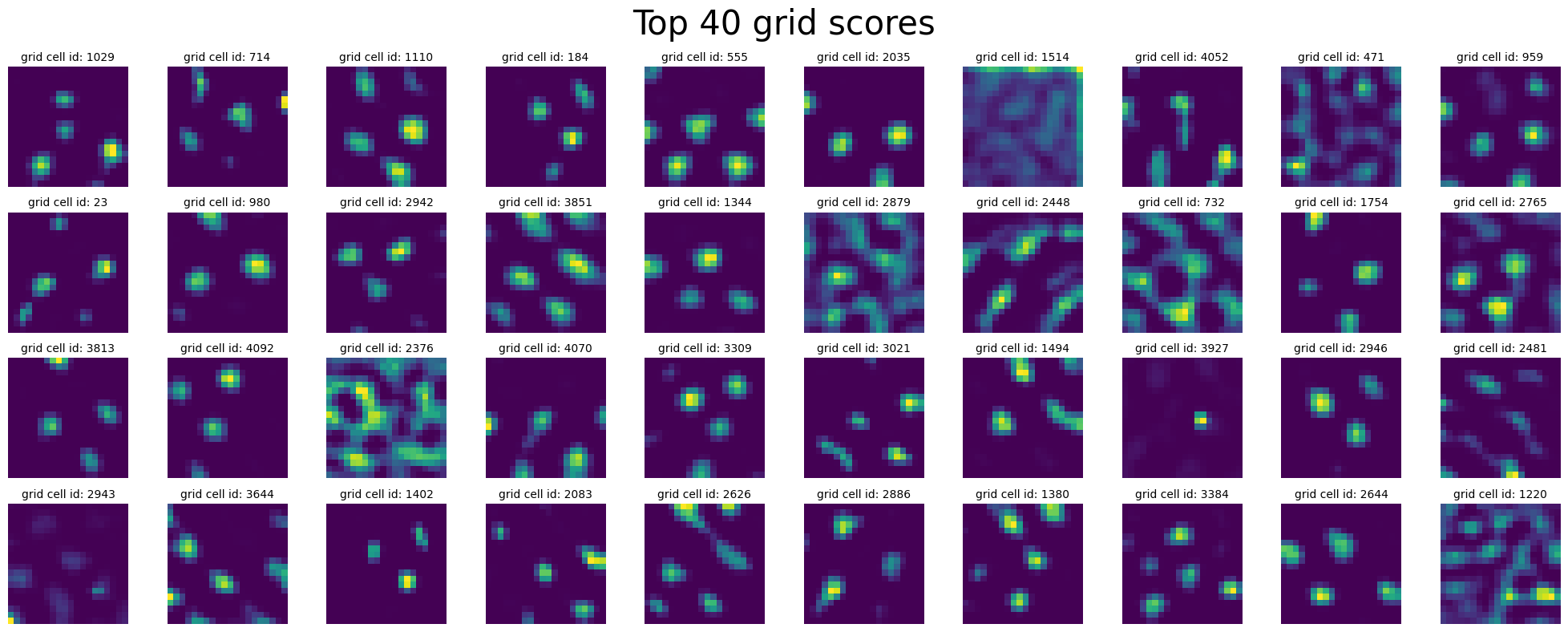 ../_images/notebooks_07_application_rnns_grid_cells_64_0.png