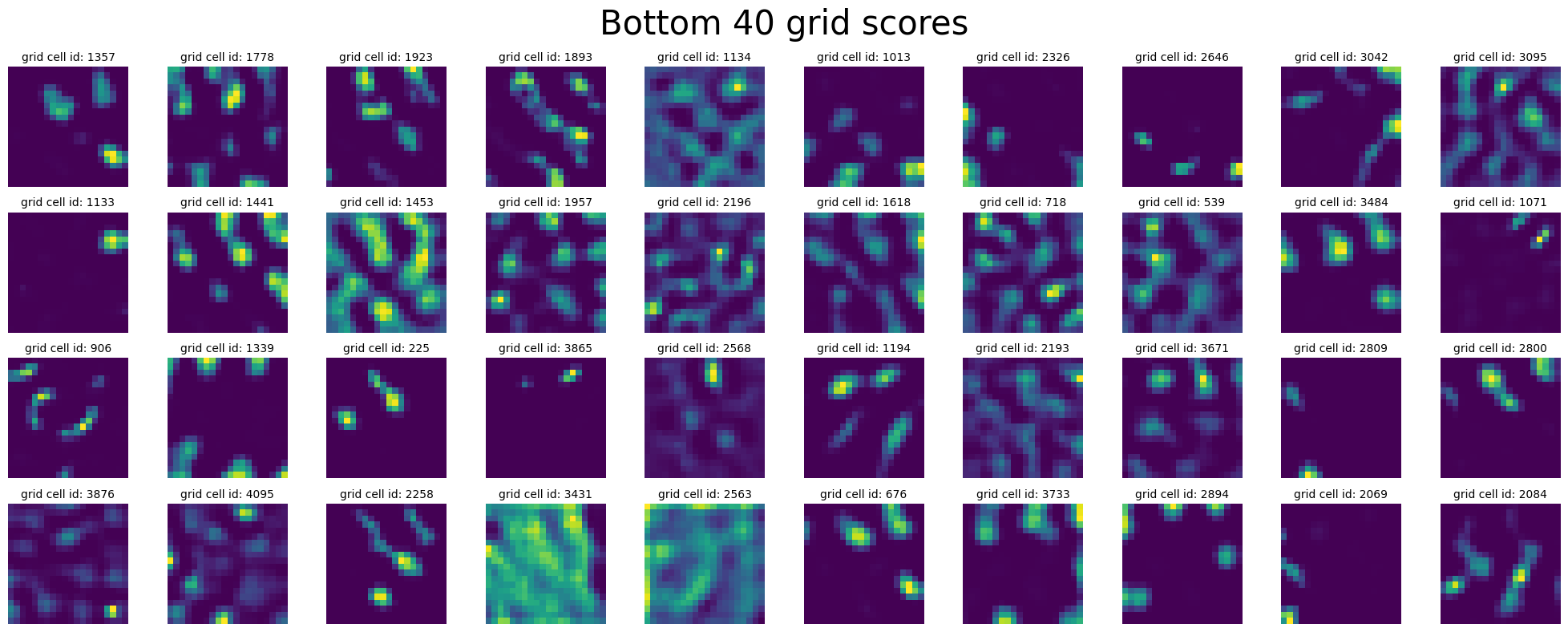 ../_images/notebooks_07_application_rnns_grid_cells_64_1.png