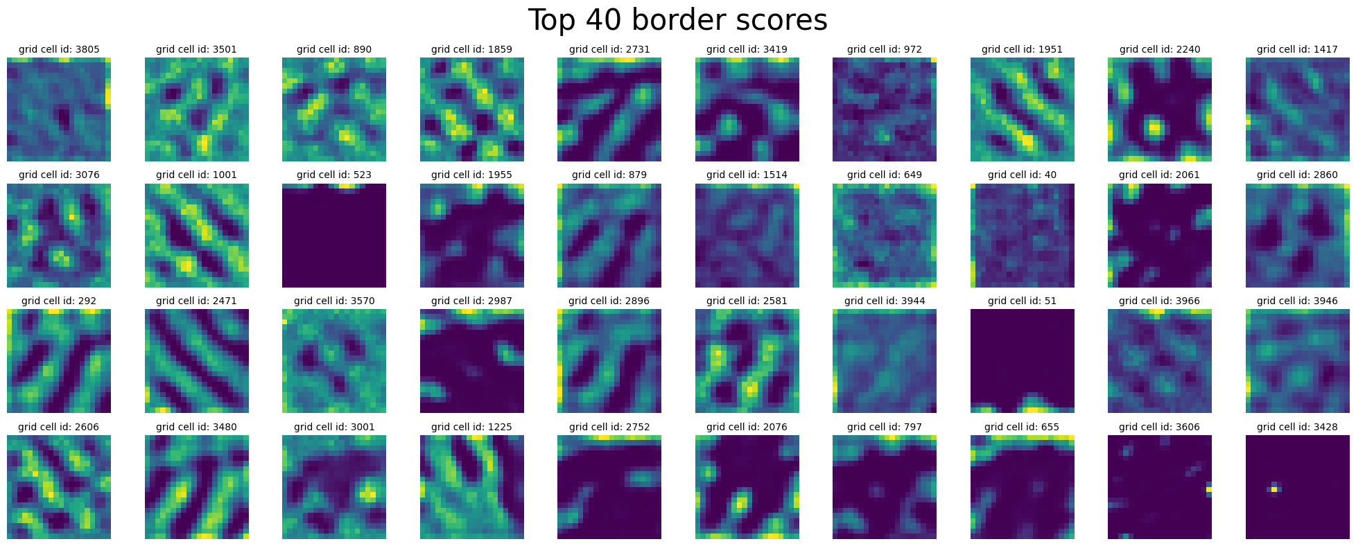 ../_images/notebooks_07_application_rnns_grid_cells_73_0.png