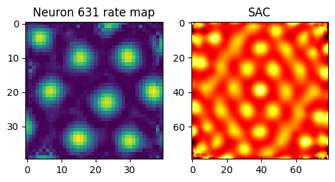 ../_images/notebooks_09_application_rnns_grid_cells_xu_12_0.png