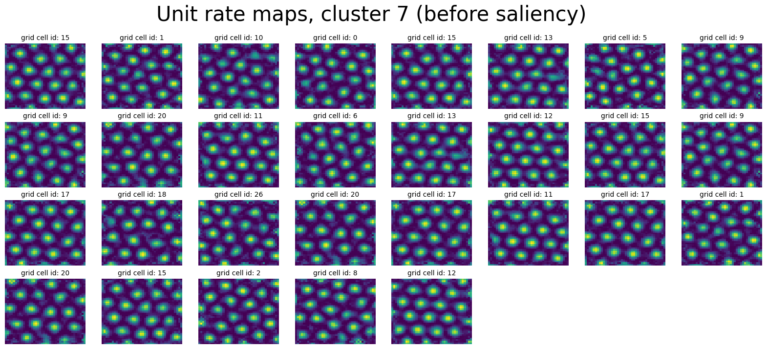 ../_images/notebooks_09_application_rnns_grid_cells_xu_18_1.png