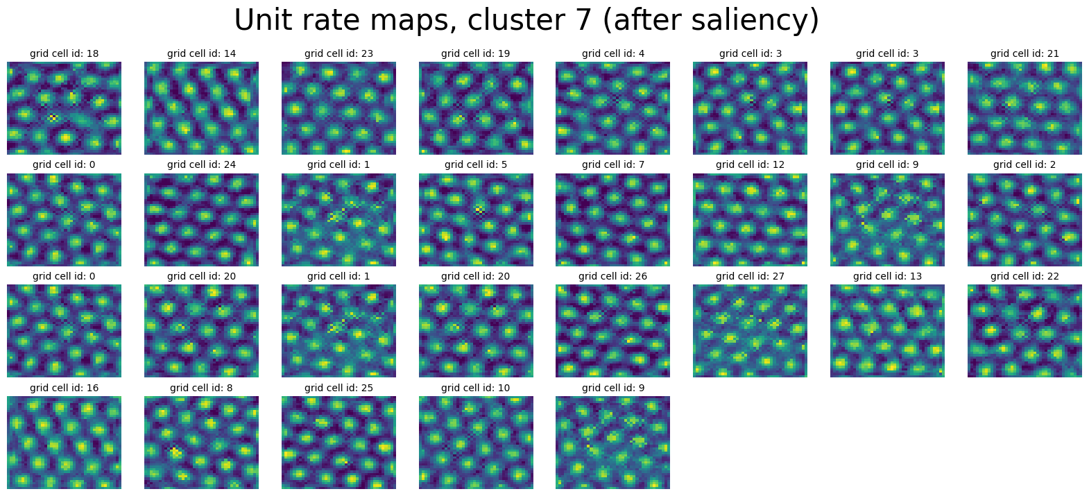 ../_images/notebooks_09_application_rnns_grid_cells_xu_20_1.png