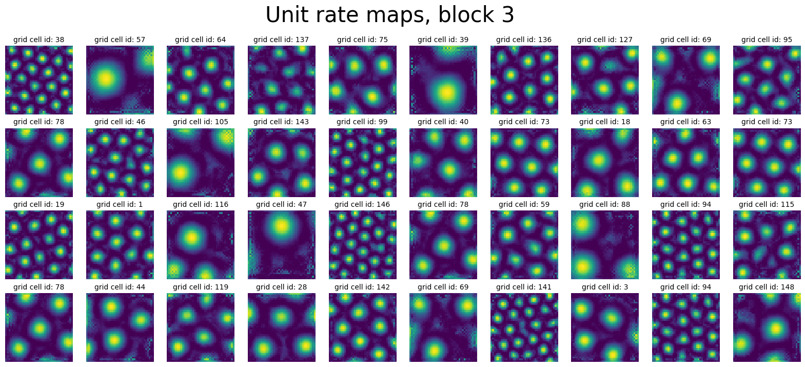 ../_images/notebooks_09_application_rnns_grid_cells_xu_33_1.png