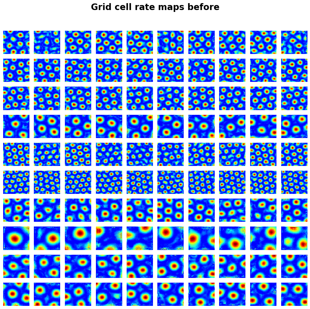 ../_images/notebooks_09_application_rnns_grid_cells_xu_6_0.png