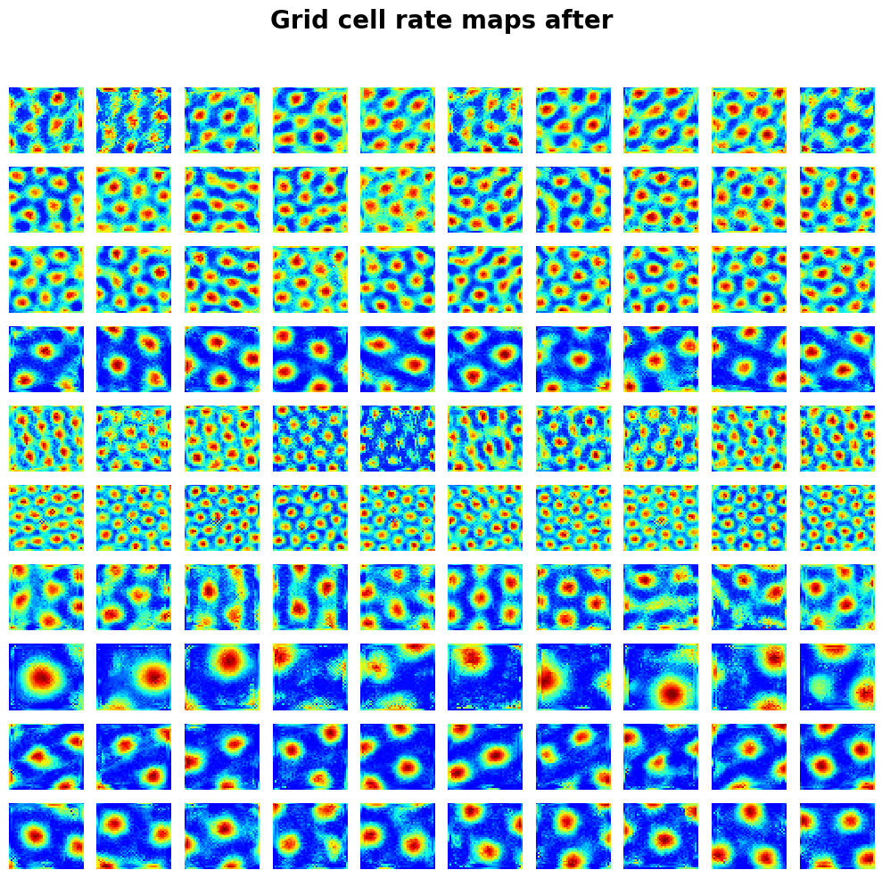 ../_images/notebooks_09_application_rnns_grid_cells_xu_7_0.png