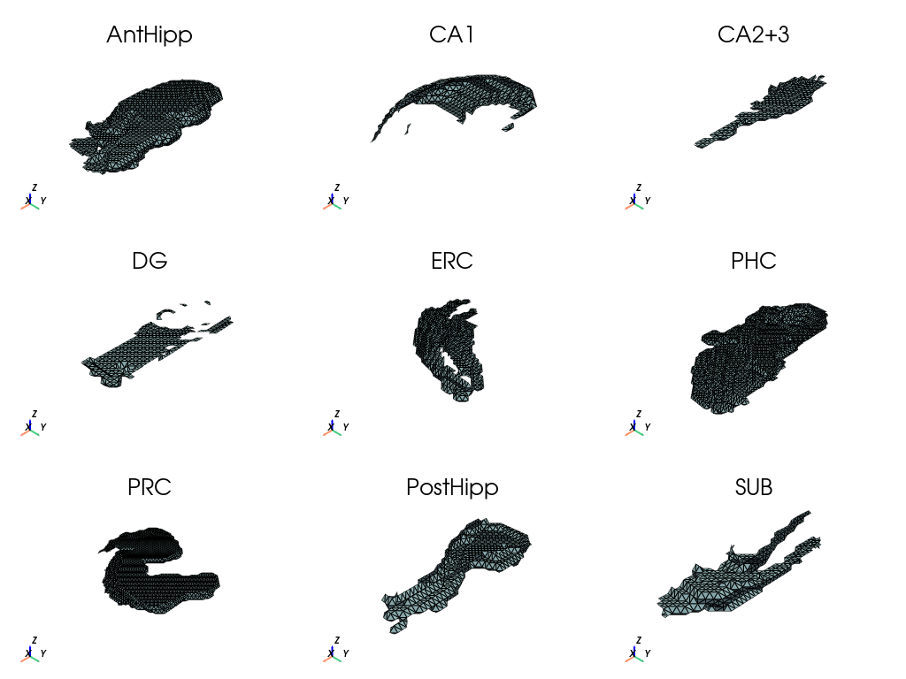 ../../../_images/_notebooks_how_to_mesh_hipp_substructures_12_0.png