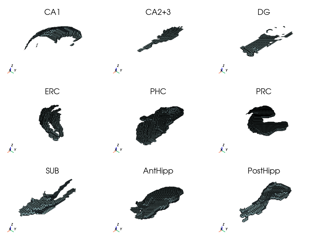 ../../../_images/_notebooks_how_to_mesh_hipp_substructures_14_0.png